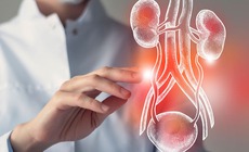 5 biện ph&#225;p hỗ trợ điều trị vi&#234;m đường tiết niệu hiệu quả