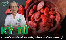 Kỳ tử: Vị thuốc bổ can thận, s&#225;ng mắt, tăng cường sinh lực