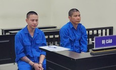 Nh&#243;m thu&#234; &#244; t&#244; mang đi b&#225;n bị CSGT dừng xe ph&#225;t hiện v&#236; dụng biển số giả