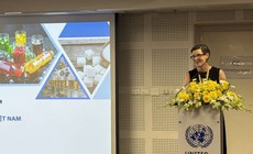 WHO ghi nhận những tiến bộ mạnh mẽ của y tế công cộng Việt Nam