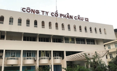 Công ty Cổ phần Cầu 12 không công bố báo cáo tài chính theo quy định