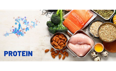 Vai trò của protein trong kiểm soát cân nặng