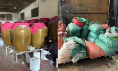 Hải Phòng phạt 21 triệu đồng cơ sở sản xuất rượu gạo không đảm bảo an toàn thực phẩm