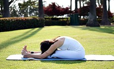 5 tư thế yoga thư giãn trước khi ngủ, giúp sâu giấc hơn