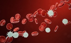 'Kén thời gian' lưu trữ ký ức tế bào, hứa hẹn giải mã ung thư kháng thuốc