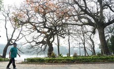 Miền Bắc hửng nắng ấm trước khi đón không khí lạnh mạnh