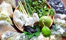 Liệu pháp thảo dược giúp nuôi dưỡng tóc và da đầu mùa đông