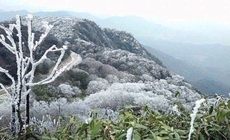 Miền Bắc rét dưới 7 độ, miền Trung nhiệt giảm sâu