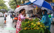 Cảnh báo mưa dông khu vực nội thành Hà Nội vào chiều nay