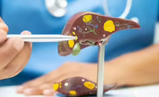 Những thói quen đang gây tổn thương gan mỗi ngày