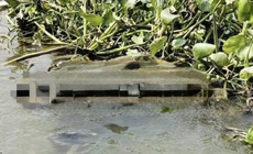 Liên tiếp phát hiện 2 thi thể dưới sông tại TPHCM