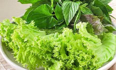 Chiến lược dinh dưỡng giúp giảm hội chứng ruột kích thích