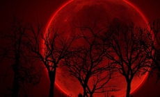 Mặt Trăng sẽ có màu đỏ như máu trong lần trăng tròn đầu tiên của năm 2026