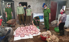 Nhận diện thực phẩm bẩn dịp Tết Nguyên đán thế nào?