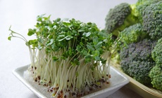 6 nhóm thực phẩm nên ăn để giảm mỡ nội tạng