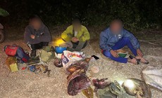 Phát hiện 3 người ở Lâm Đồng đang vận chuyển động vật hoang dã