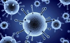6 triệu chứng phổ biến của bệnh cúm mùa
