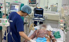 Liên tiếp 4 người mắc liên cầu lợn do ăn tiết canh, tiếp xúc lợn bệnh