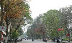 Miền Bắc nắng hanh 34 độ kéo dài, sáng sớm có sương mù nhẹ