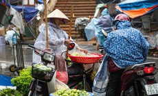 El Nino tăng lên mức rất mạnh, thời tiết Việt Nam những tháng cuối năm thế nào?