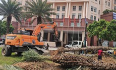 Hiện trạng nút giao Dương Đình Nghệ - Mễ Trì trước ngày xây hầm chui 655m