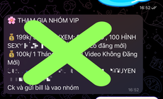 Tràn lan quảng cáo bán clip sex trên Telegram