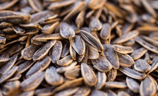 Vì sao không nên ăn quá nhiều hạt hướng dương khi giảm cân?