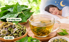 4 bài thuốc từ lá vông nem chữa mất ngủ