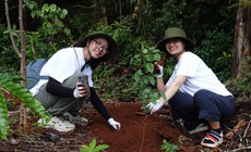 Quản trị rủi ro an ninh môi trường, kiểm soát nguy cơ ảnh hưởng sức khỏe
