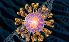 Virus ảnh hưởng đến 60% dân số thế giới chứa manh mối về nguy cơ mắc Alzheimer