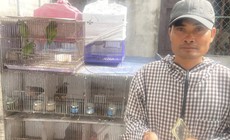 Khởi tố người mua bán, trao đổi 36 cá thể chim hoang dã