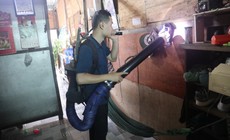 Đã có 2.988 ca sốt xuất huyết ở Khánh Hòa, nhiều trường hợp phải nhập viện