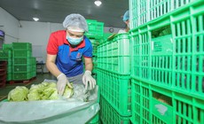 MM Mega Market Việt Nam phát triển bền vững chuỗi cung ứng nông sản an toàn