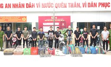 Trộm 2.700 con mèo ở TPHCM, nhóm đối tượng bị bắt, khởi tố
