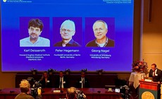 Nobel Y sinh 2026 vinh danh công nghệ dùng ánh sáng giải mã bí ẩn não bộ