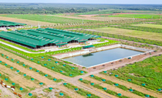 Thaco Agri bị xử lý vi phạm chứng khoán