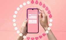 Nên ăn gì theo từng giai đoạn của chu kỳ kinh nguyệt?