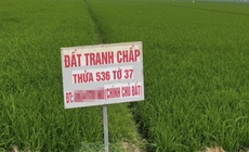 Đất tranh chấp: Những điểm người dân dễ nhầm lẫn