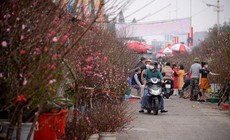 Chuyên gia nói về diễn biến thời tiết trong tháng 2, Tết Nguyên đán có thể sẽ ấm