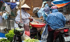 Không khí lạnh gây mưa lớn cho miền Trung, biển động mạnh