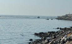 Tàu cá bị sóng đánh chìm, một ngư dân Lâm Đồng mất tích