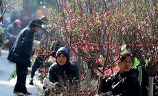 Miền Bắc có thể mưa phùn cả Tết Nguyên đán 2026