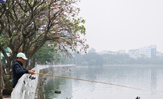 Miền Bắc tăng nhiệt hửng nắng, sương mù chỉ còn vào sáng sớm