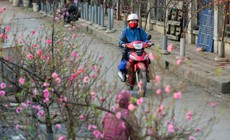 Các tỉnh thành phải chủ động ứng phó với thời tiết xấu dịp nghỉ Tết Nguyên đán 2026