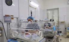 Trong dịp đoàn viên, những cuộc "chạy đua" vẫn tiếp diễn