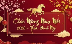 Những lời chúc Tết Bính Ngọ 2026 hay và ý nghĩa nhất