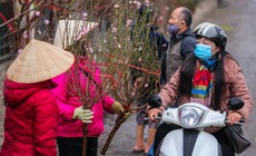 Miền Bắc chuyển mưa phùn kèm rét ngày mùng 1 Tết