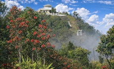 Say đắm sắc hoa mùa xuân giữa đại ngàn Bạch Mã