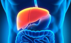 Cảnh giác với suy gan cấp
