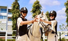 Du khách xếp hàng chờ cưỡi ngựa cầu may Tết Bính Ngọ